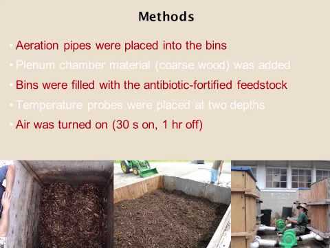 Antibiotic Losses during Thermophilic Composting