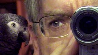 Le Filmeur d'Alain Cavalier - Bande-annonce