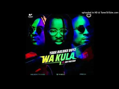 Yaba Buluku Boyz (DJ Tarico,Preck,Nelson Tivane) - Wa Kula (Feat  Jah Prayzah) (Audio Oficial)