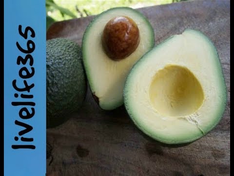 How to...Eat a Maui Avocado