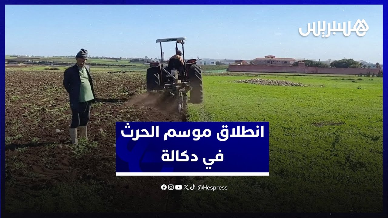 انطلاق موسم الحرث في دكالة.. فلاحون يتفائلون بالتساقطات المطرية على أمل تعويض خسائر الأعوام الماضية thumbnail
