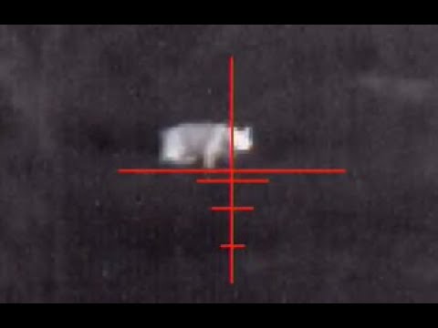 Bobcat Kill using ATN Thor 4 640x480 2.5-25X with Silencer #Short