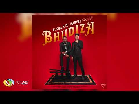 DJHarvey and Lusha - Bhudiza [Feat. TA MusiQ, Citykingrsa, JFS Music, Blvcknavy and Deeray] (Audio)