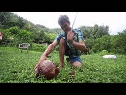 Marquesas Island Harvest: Episode One - Coconuts