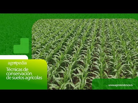 , title : 'Técnicas de conservación de suelos agrícolas │ Agro en 2 minutos'