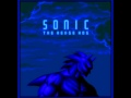 sonic.EXE Remastered: You Can't Run 