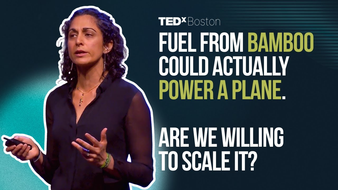 Why electrification alone will not get us to net-zero | Camille Rebelo | TEDxBoston