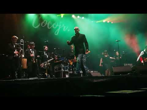 Coco Jr XL - Declaration of Love @ AB Bierfeesten Oudenaarde