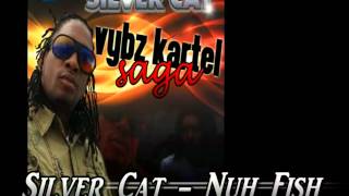 Silver Cat - Nuh Fish - May 2012