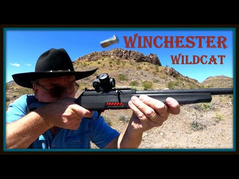 Winchester Wildcat 22 Rifle Review- Budget Friendly Blaster!