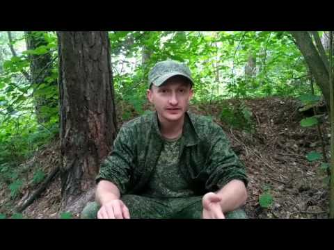 О "черный копателях" // About " Black diggers"