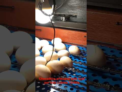 Chocadeira artesanal feita por Luanna Tecária em Angical do Piauí