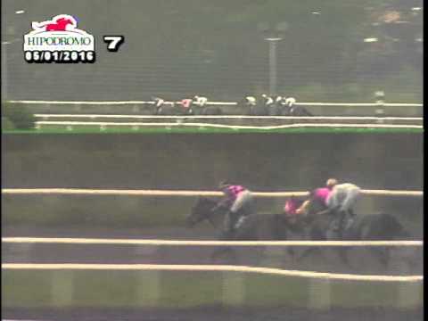 7MA CARRERA DEL DOMINGO 1 DE MAYO DE 2016 HPR