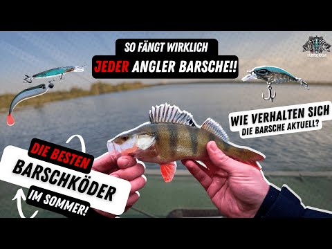 The Best Bass Lures for Summer 🎣 | Best Pike Lures | Bass Lures | Favorite Lures | Nays | Westin