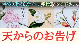 タロットを用いて天のお告げメッセージをお伝えします🎴