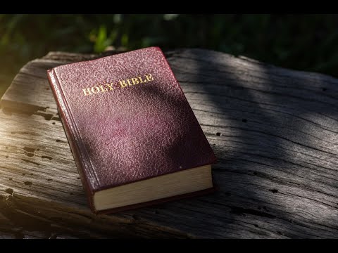 10 HEALING FOODS FROM THE BIBLE