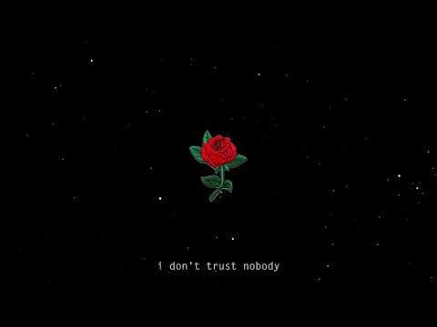 lipip // not even her ft. shiloh