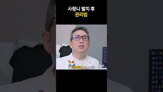이런 경우에는 절대 사랑니 뽑지 마세요! #shorts