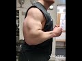 50cm arm flex - bodybuilding