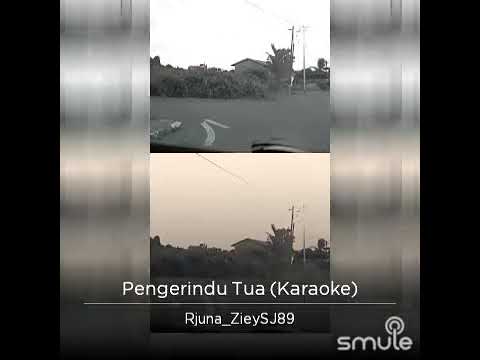 Melissa Francis - Pengerindu Tua | Su Ziey covers