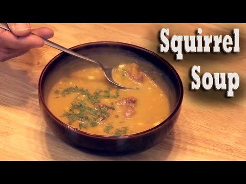 How to Cook Squirrel Soup!  Wild Game Recipes for Homesteading, Cooking, Hunting & Survival