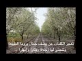 Beauty Of Nature - جمال الطبيعه (Govi - Gypsy Magic)