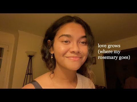 love grows (where my rosemary goes) :) cover by paravi