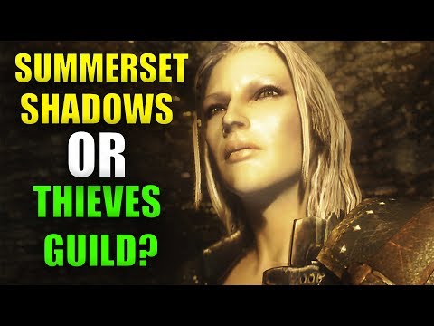 Why The Summerset Shadows Are BETTER Than The Thieves Guild