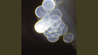 Oneirogen Ⅳ