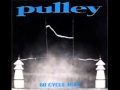 Pulley-Reality 
