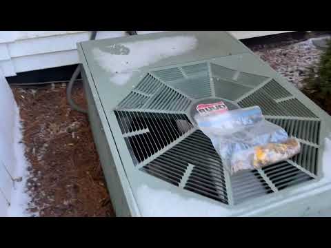 Mice Taking the Insulation Outside in Monroe Township, NJ