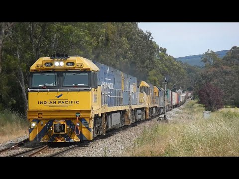 5 Locos on PN Freight 3PM6: Friday morning South Line Action - 11/12/2020