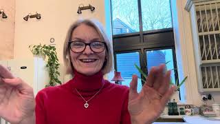 Flylady System Explained-Don’t Start FlyLady Until You Watch This
