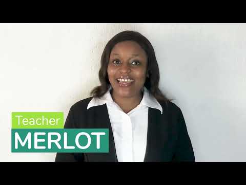 Merlotのプロフィール動画