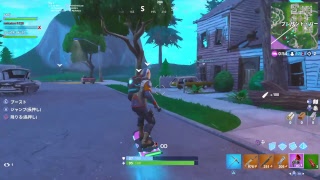【絶滅危惧種・無言配信者のFORTNITE】ガチのほうのコラボだ詳しくは、概要欄の一番下