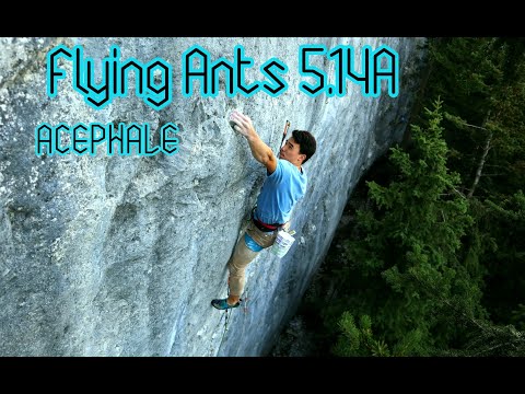 Flying Ants 5.14a - Acephale