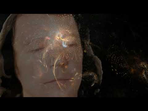 Ve jménu lásky II - Petr Novák - (Music video Bob Martinec)