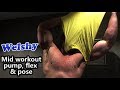 Mid powerlifter chest workout pump flex and pose