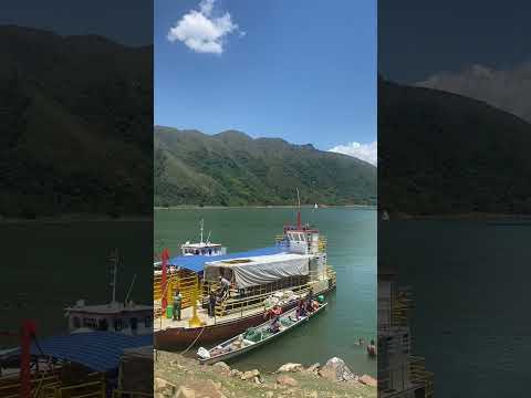 Salvagina Suarez cauca