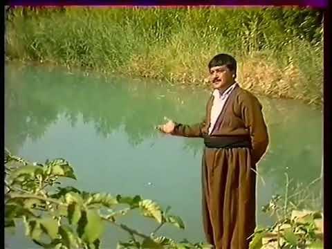 kamal muhamad . rozhanek bu