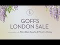 Goffs London Sale 2025