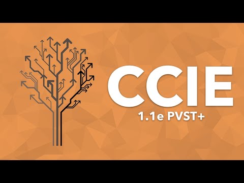 CCIE Topic: 1.1e PVST+