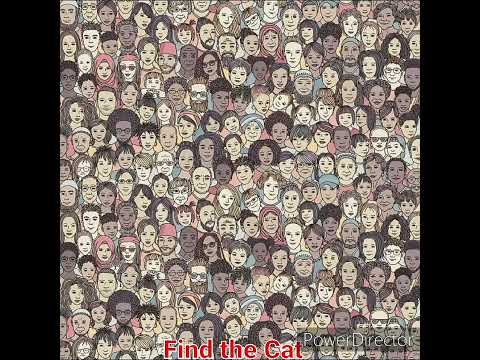 Find the Cat