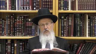 הגאון הרב אברהם יוסף שליט"א מה יעשה אדם שצריך לאכול ביום תשעה באב תשפ"א (הרב אברהם יוסף) - התמונה מוצגת ישירות מתוך אתר האינטרנט יוטיוב. זכויות היוצרים בתמונה שייכות ליוצרה. קישור קרדיט למקור התוכן נמצא בתוך דף הסרטון