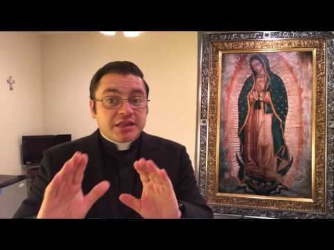 Mt 7, 15-20 "By their fruits you will know them."