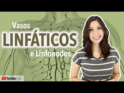 Lymphatic Vessels and Lymph Nodes: Lymphatic System 3/4 | Anatomy and etc.