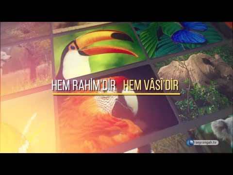 Allah'ın İsimleri - 46: El- Vâsî