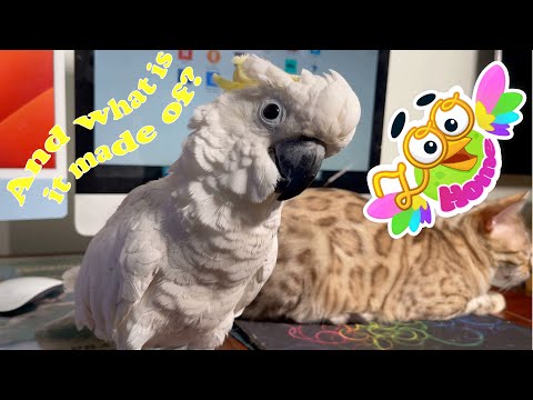 Christina is at a loss for a cat toy and shows unnecessary details in it.