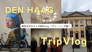 vlog🇳🇱│オランダ旅行 デン・ハーグ編vlog│ベルギー駐在妻,海外帯同,駐妻,ヨーロッパ観光,ミッフィー