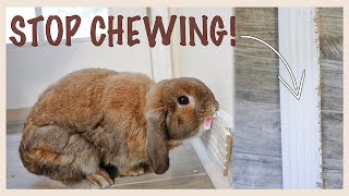 PROTECT YOUR BASEBOARDS FROM RABBITS | Bunny Proof Busters Ep. 1